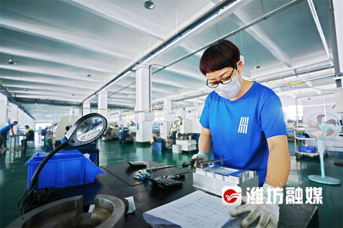 濰坊企業家榮膺歐洲自然科學院院士，技術創新引領產業發展